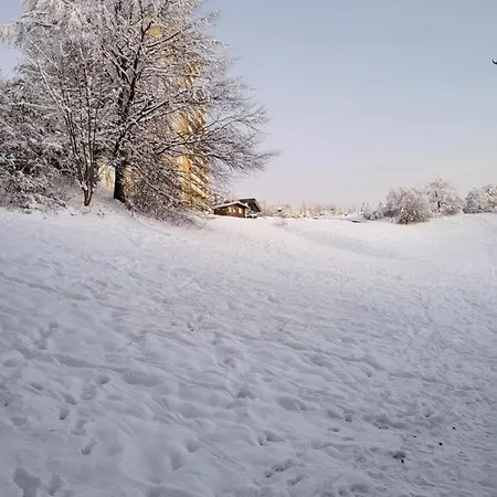 Modernisierte Naturseelen Mit Schwimmbad Und Sauna Apartament Braunlage