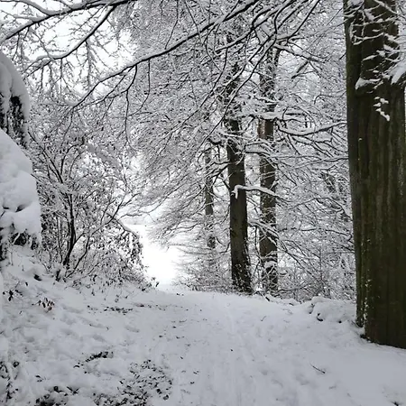 Modernisierte Naturseelen Mit Schwimmbad Und Sauna Apartament Braunlage
