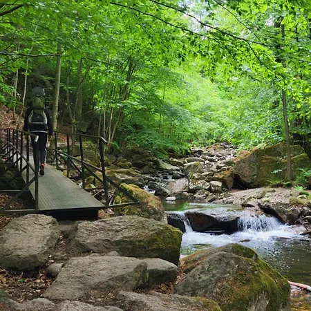 شقة Modernisierte Naturseelen Mit Schwimmbad Und Sauna *