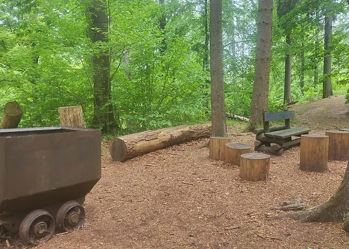 Modernisierte Naturseelen Mit Schwimmbad Und Sauna Braunlage